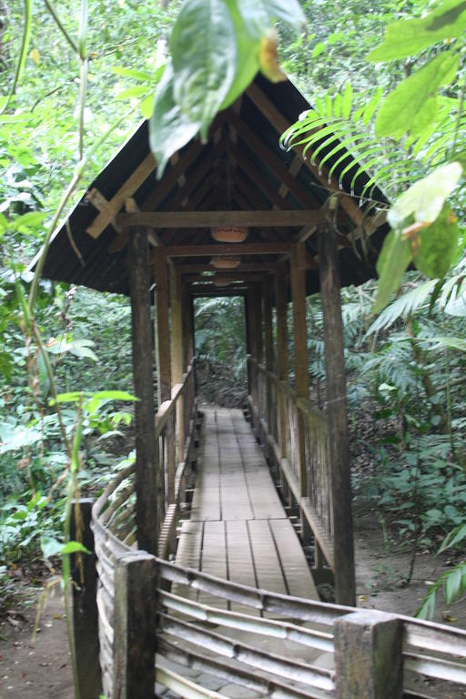 Reserva Ecologica Nanciyaga 카테마코 외부 사진