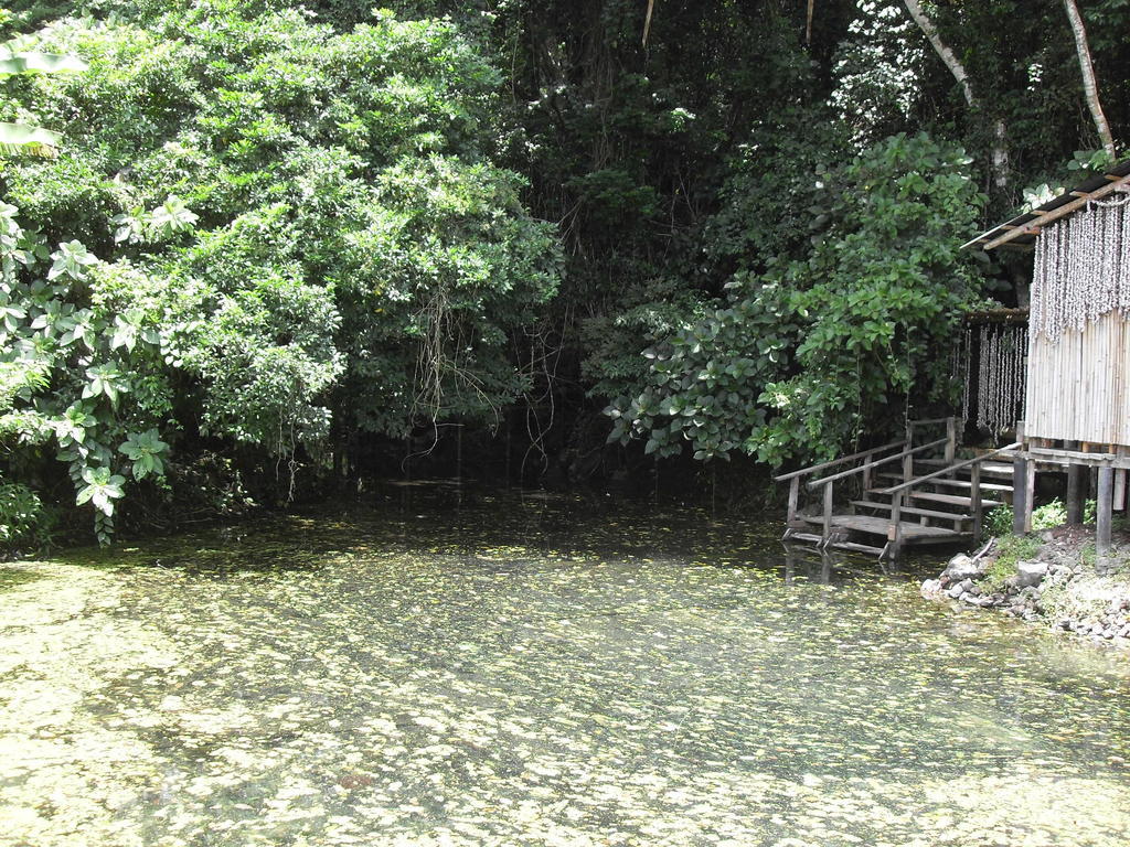 Reserva Ecologica Nanciyaga 카테마코 외부 사진
