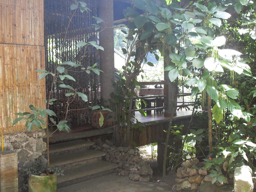 Reserva Ecologica Nanciyaga 카테마코 외부 사진