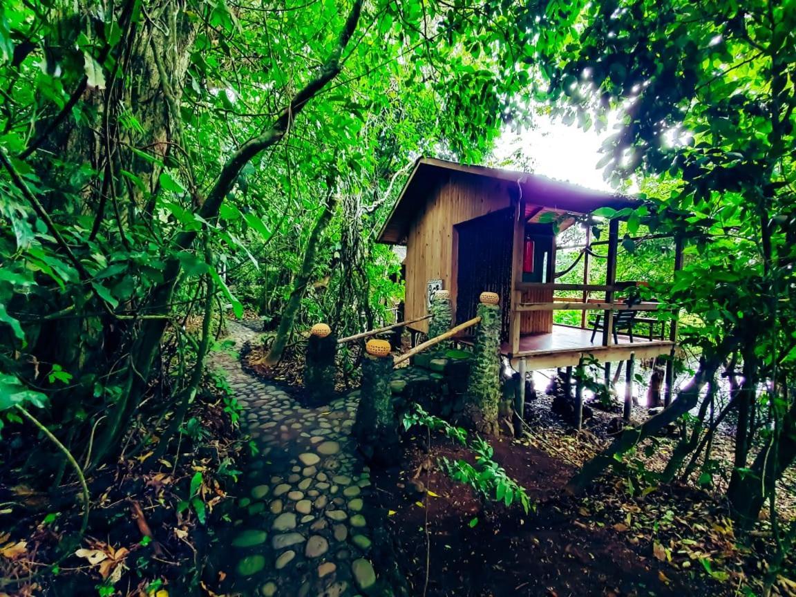Reserva Ecologica Nanciyaga 카테마코 외부 사진